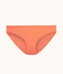 The Seamless Bikini: Terracotta 10 The Seamless Bikini: Terracotta -LuxeIntimates Store 4 product flat front seamless bikini terracotta dbcf2687 92c2 48dc 9554 ccfc688c7c5f