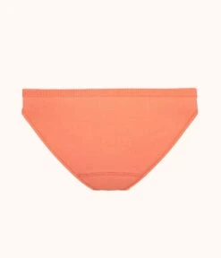 The Seamless Bikini: Terracotta 11 The Seamless Bikini: Terracotta -LuxeIntimates Store 5 product flat back seamless bikini terracotta 35e3f06a fc80 4653 9179 25d6e5b1d94b